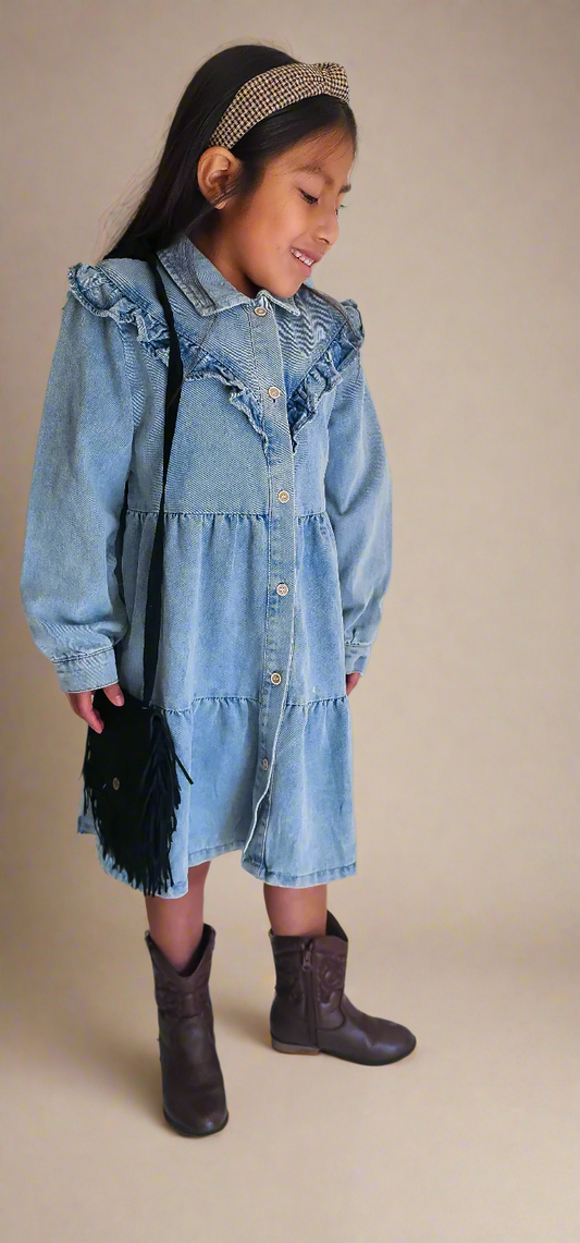 Amelia Denim Dress